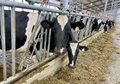 A new guide for dairy farmer climate best practices has been created.