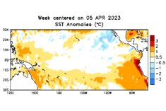 Pacific Ocean sea surface temperature (SST) anomalies, in degrees Celsius, for the week centred on April 5, 2023. (CPC.ncep.noaa.gov)