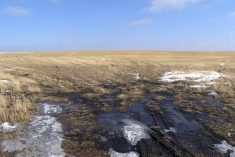 File photo of a southern Alberta field as spring approaches. (BrendanHunter/iStock/Getty Images)