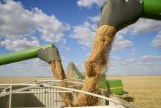 U.S. soybean crush sees record high for September