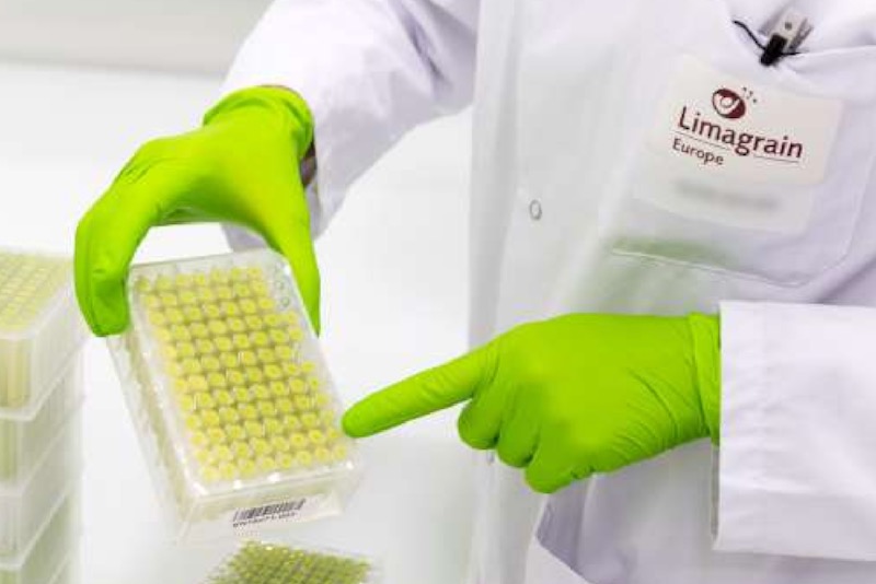 (Limagrain.com)
