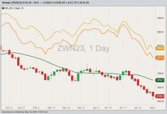 CBOT July 2023 soft red winter wheat with 20-day moving average, Minneapolis July 2023 hard red spring wheat (yellow line) and K.C. July 2023 hard red winter wheat (orange line). (Barchart)