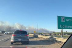 Smoke rises from a wildfire in Alberta&#8217;s Strathcona County, east of Edmonton, on May 5, 2023. (Photo: Video screengrab from @hellohildy on Twitter via Reuters)
