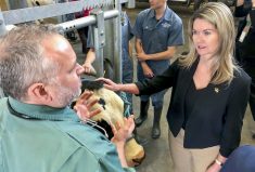Jill Dunlop, right, Minister of Colleges and Universities, speaks with a member of the Ontario Veterinary College program after announcing a $15 million collaborative Doctor of Veterinary Medicine program between the University of Guelph and Lakehead University.