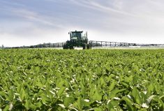 The industry needs to talk more about weather, sprayer tips, record-keeping and communicating with neighbours.