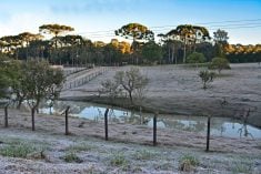 Frost on land in Brazil’s Santa Catarina state. (Edson Hardt/iStock/Getty Images)