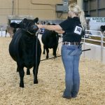 Changes to the identification and traceability portion of the Health of Animals Act proposed by the CFIA acould significantly impact Ontario’s fairs and agricultural societies.