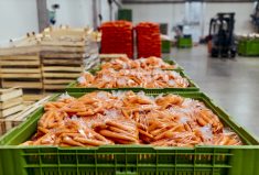 The Bill aims to cushion the financial blow to growers by securing payment in case of buyer bankruptcy.