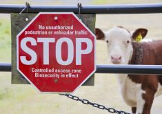 Court battle begins over Ontario law banning hidden-camera farm investigations