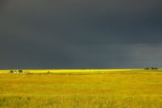 File photo of stormy conditions over Alberta fields. (Larry Stickney/iStock/Getty Images)

