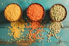 Lentils. (Seb_ra/iStock/Getty Images)