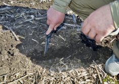 Farmer Serhii demonstrates that moisture is captured below the residue of his no-till fields.