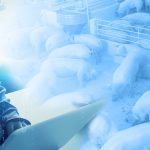 Activists target hog farm with ransomware