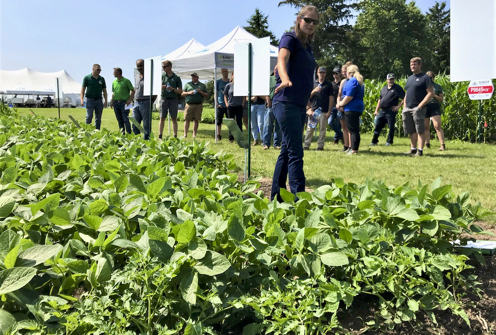 Corteva Agrisciences field scientist Laura Smith points to a row of tomatoes that were planted next to a plot of Enlist-branded herbicide-tolerant soybeans at the company’s Tavistock research station during a tour for seed reps on July 5.