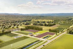 An aerial view of the proposed Thornbury Acres development.