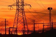 Editorial: Beware of the electric hunters