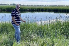 Daniel Karran is evaluating whether floating islands of riparian plants can be used in feedlot ponds to clean the water naturally so it can be safely re-used.