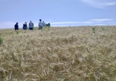 People tour the farm at Valley Bio during a recent information day on bringing value to sustainable farming practices.