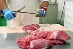 Lack of labour and processing capacity is a long-term sustainability issue for the food and agriculture sectors.