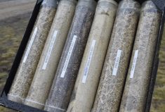 These different chaff samples are before and after they’ve passed through the Redekop seed control unit.