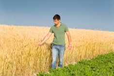 OMAFRA has published a wide variety of publications with a crop production and protection information.