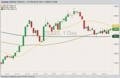 CBOT November 2023 soybeans with 20-, 50- and 100-day moving averages. (Barchart)