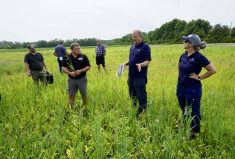 Right to left, foreground: Katie Stammler, ERCA’s water quality scientist and source water protection project manager, Michael Dick, agricultural technician for ERCA and secretary-treasurer for Essex Soil and Crop, and Chris Snip, certified crop advisor with Agris Cooperative’s Cottam location, discussing observations gathered from an  early-seeded oat-radish cover crop mix.