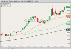ICE November 2023 FCOJ with 20-, 50- and 100-day moving averages. (Barchart)