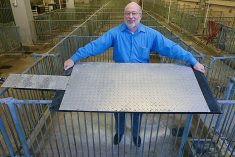 Robert Stwalley, a clinical associate professor in Purdue University’s department of agricultural and biological engineering, shows the hog cooling pad technology IHT has now licensed to make and sell in North America. (Photo: Tom Campbell/Purdue Agricultural Communication via Canada NewsWire)