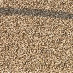Ontario’s winter wheat crop won’t be the record 1.34 million harvested acres as expected, but is still high at 1.1. million acres despite a very dry spring in most regions.