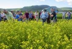 Tarlok Singh Sahota, centre right in the blue checked shirt, shares his canola-growing wisdom at the Lakehead University Agricultural Research Station (LUARS) near Thunder Bay.