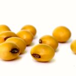 soybeans