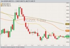 CBOT December 2023 corn with 20-, 50- and 100-day moving averages. (Barchart)