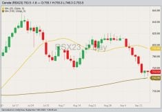 ICE November 2023 canola with 20- and 100-day moving averages. (Barchart)