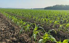 Minimizing nitrogen loss in crops is one of the areas being researched by the new Living Labs - Ontario project.