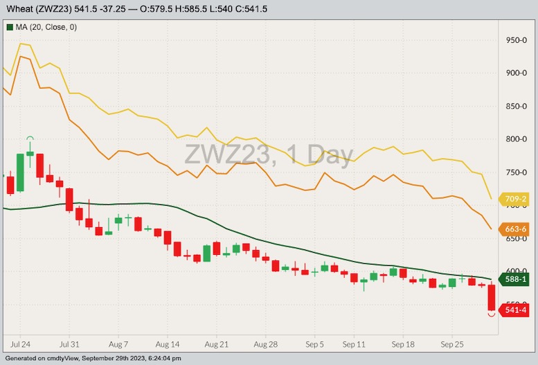 CBOT December 2023 soft red winter wheat with 20-day moving average, MGEX December 2023 hard red spring wheat (yellow line) and K.C. December 2023 hard red winter wheat (orange line). (Barchart)
