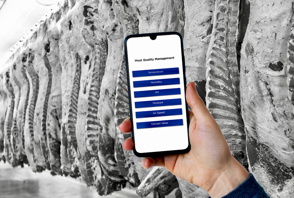 Mode40 is sensor-based system that collects environmental data to optimize cooling of carcasses, which can improve meat quality and cutting.