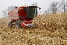 On-farm storage is a major benefit for corn production, primarily because of its need for drying.