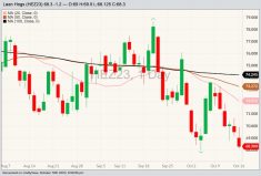 CME December 2023 lean hogs with 20-, 50- and 100-day moving averages. (Barchart)