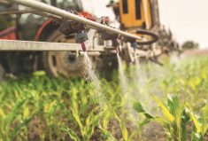 FCC sees calmer waters ahead on input market
