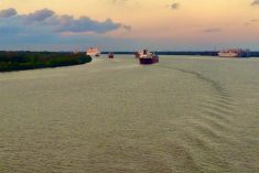 File photo of vessels on the Mississippi River south of New Orleans on Nov. 5, 2017. (Dave Bedard photo)