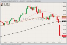 CME February 2024 live cattle with 20-, 50- and 100-day moving averages. (Barchart)
