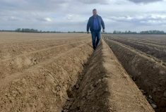 Hryhoriy Tkachenko refuses to give up on rebuilding his family’s farm.