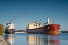 File photo of laker vessels navigating the Welland Canal. (JonathanNicholls/iStock/Getty Images)