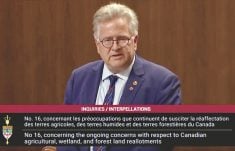 Senator Rob Black speaks to the Senate Oct. 6. He has launched an inquiry into land use in hopes of sparking a collaborative discussion across various government levels.