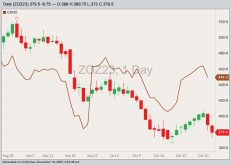 CBOT December 2023 oats with cash contract price overlay (brown line). (Barchart)
