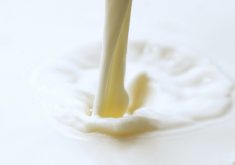 Dairy processors get funding boost