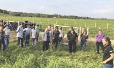 Professor Kim Schneider, far right, explains a study looking into the grazing potential of various cover crops during a joint Soils@Guelph and Beef@Guelph research day Sept. 21 at the University of Guelph’s Elora Research Station.