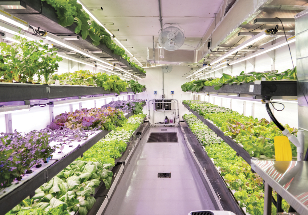 Inside a Growcer modular farm unit.