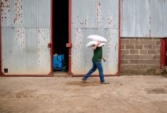 “Our goal is to increase the labour and talent pipeline to our agri-food sector.” – Akosua Alagaratnam.